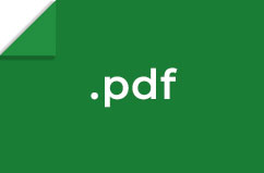 pdf-icon_vulnus